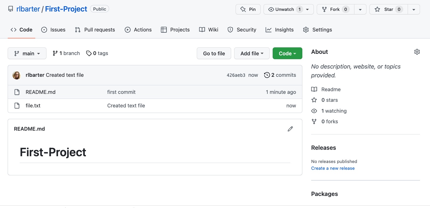 The First-Project GitHub repository containing the file.txt file.